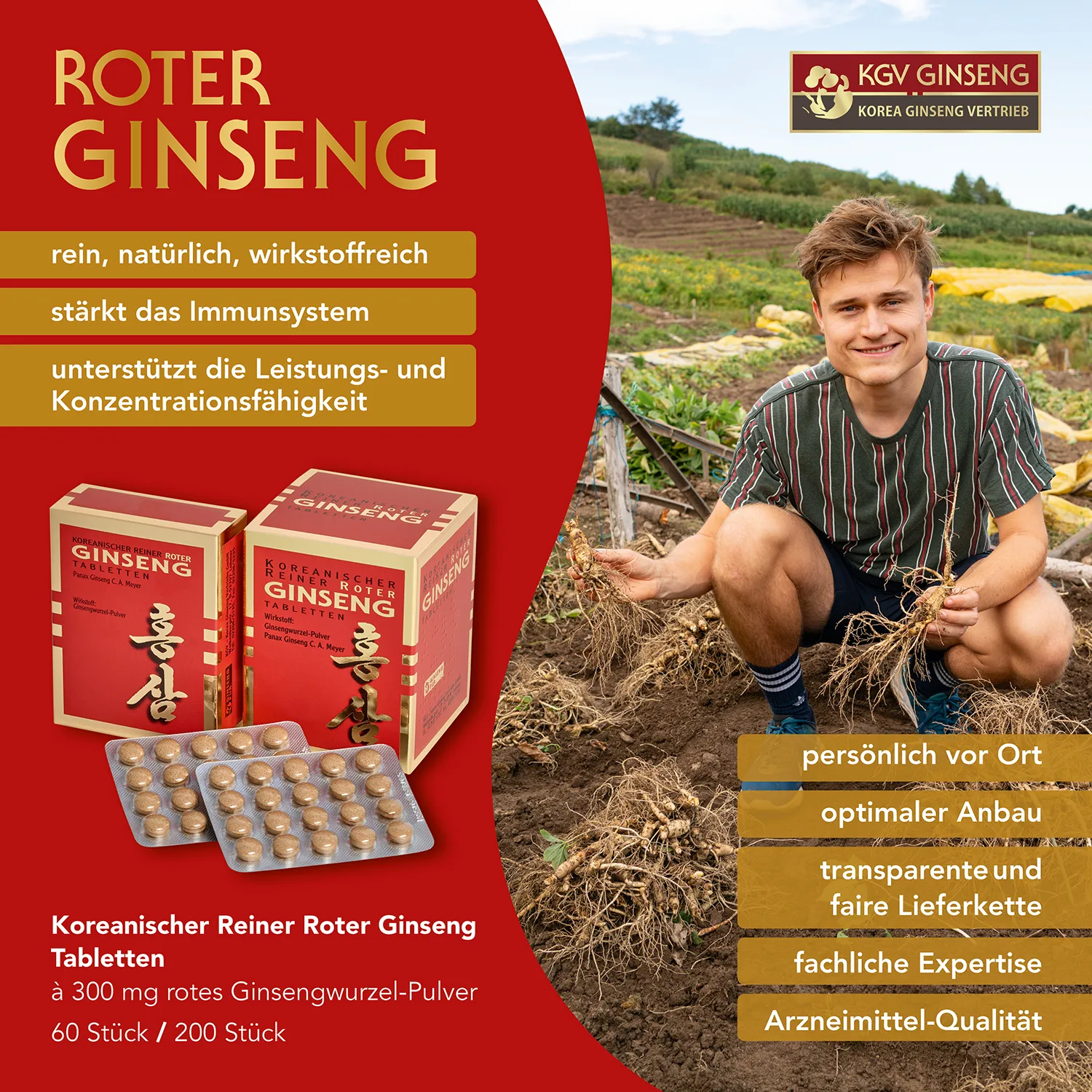 Koreanischer Reiner Roter Ginseng – Tabletten Ginseng Tabletten Details