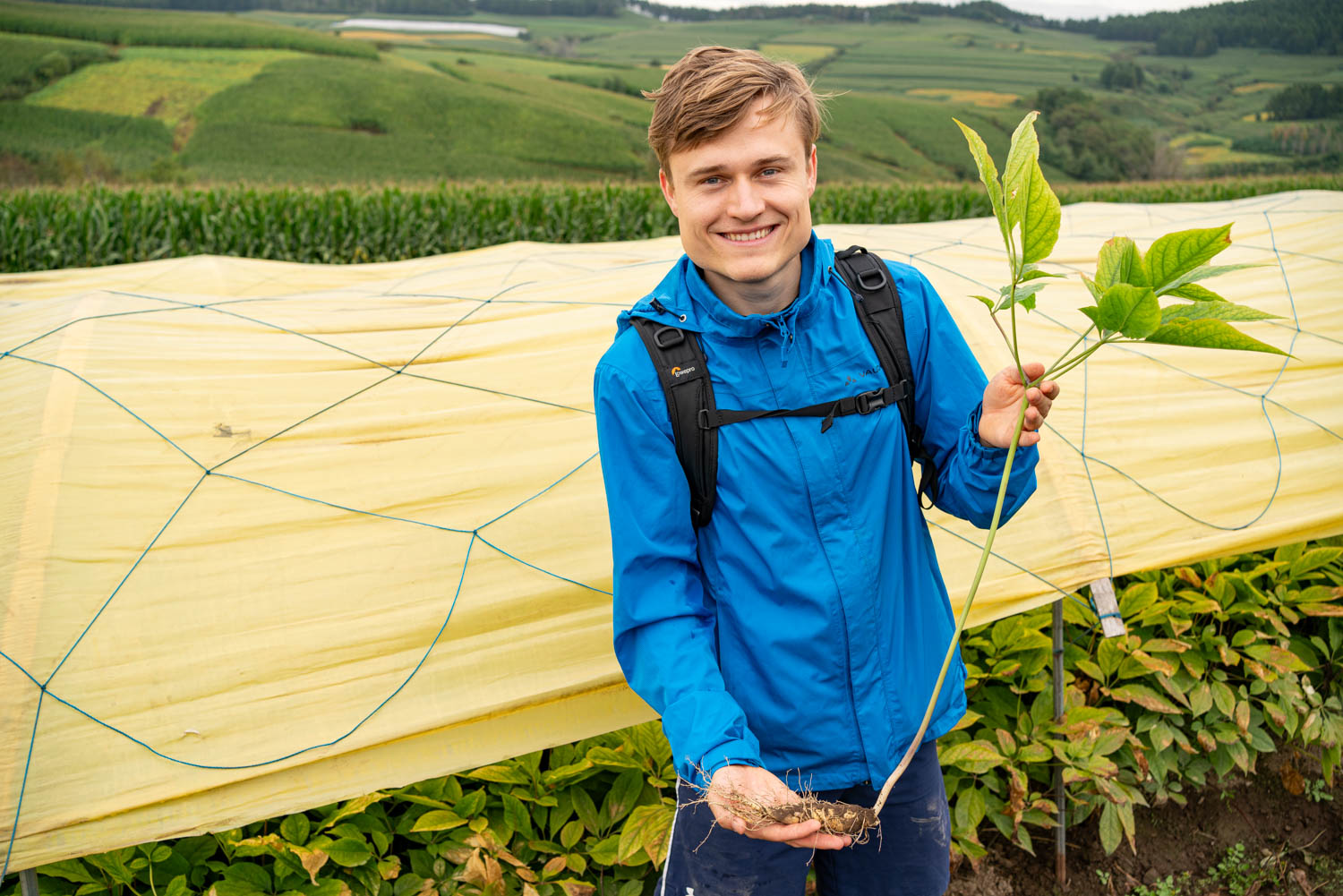 Lennart auf den Ginsengfeldern