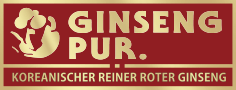 Zur Startseite gehen