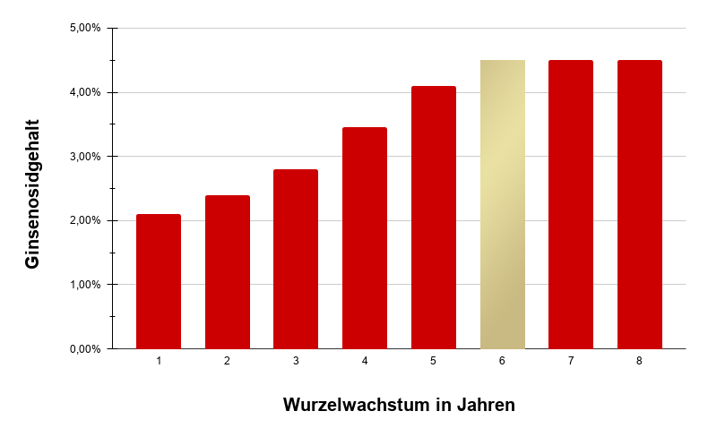 Wurzelwachstum und Ginsenosidgehalt